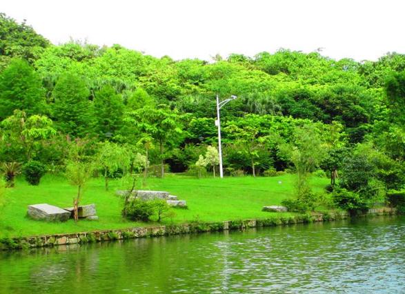 人工植被的應用有什么樣的效果和作用呢？