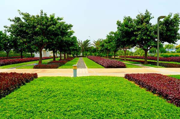 園林綠化中幾何色塊的出“彩”設(shè)計