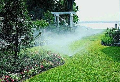 1月份園林養(yǎng)護(hù)，加強防凍與越冬害蟲防控是重點 