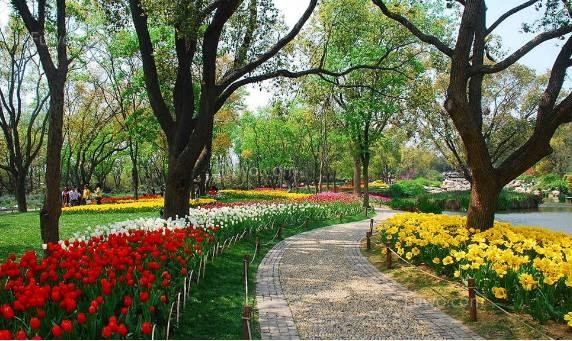 雪后，對(duì)受“硬傷”和“軟傷”的苗木 怎么養(yǎng)護(hù)