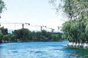 湖北凱蒂園林分享十種超耐寒的開(kāi)花植物，不怕凍傷！ 