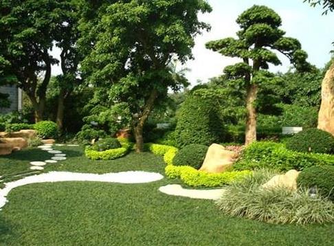 技術(shù)|開春園林綠化養(yǎng)護重點工作