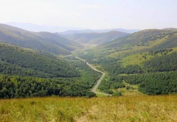 國家森林公園被“毀容”，誰在選擇性“失明”？