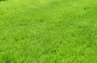 依其用途，草坪可分為幾類呢？